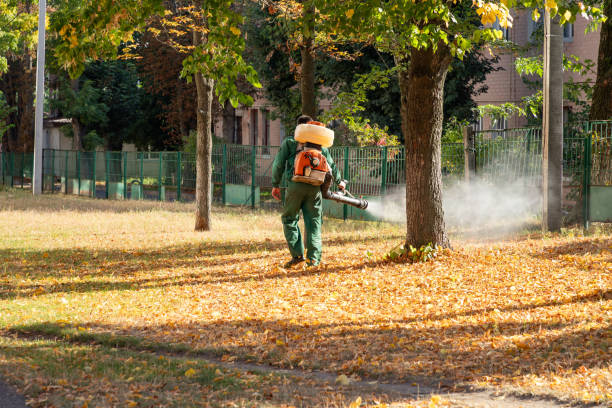 Bird Control in Ocean Acres, NJ